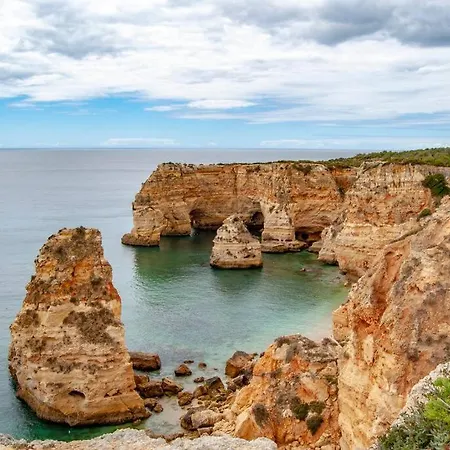 Prainha Calm Retreat In Διαμέρισμα *